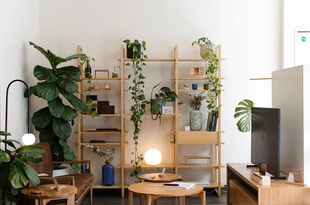 Designing Spaces That Breathe